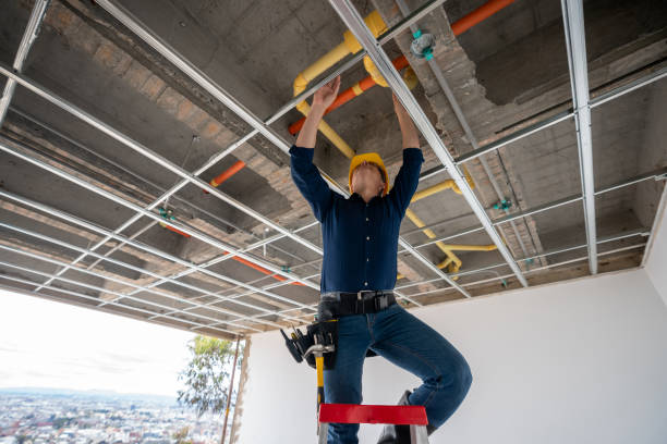 Best Residential Plumbing Services  in Williamson, WV