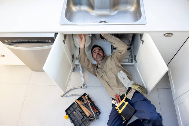Best Clogged Drain Plumber  in Williamson, WV