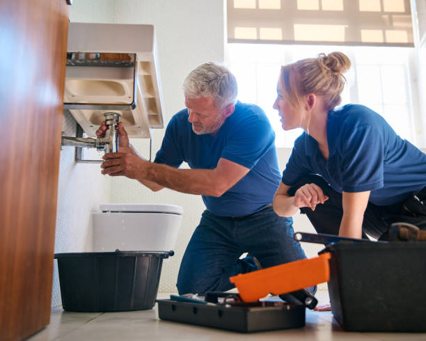 Best Water Leak Repair  in Williamson, WV